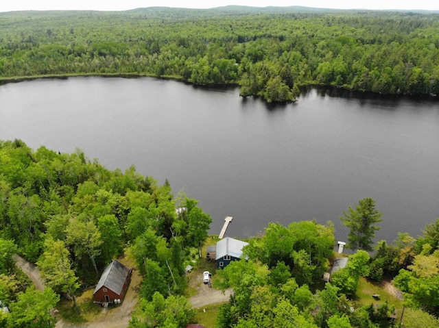 MAP2A Wheaton Rd, Dover-Foxcroft, ME 04426 - aerial view of a forest and a nearby body of water