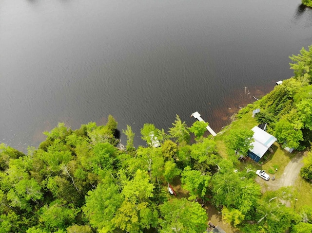 MAP2A Wheaton Rd, Dover-Foxcroft, ME 04426 - bird's eye view