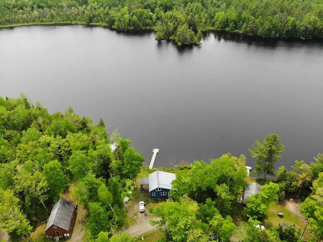 MAP2A Wheaton Rd, Dover-Foxcroft, ME 04426 - view of subject property featuring a forest and a nearby body of water