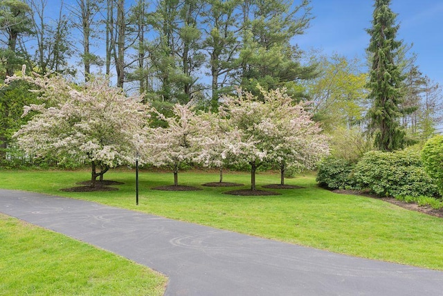 71 N St, Kennebunkport, ME 04046 - view of community featuring a lawn
