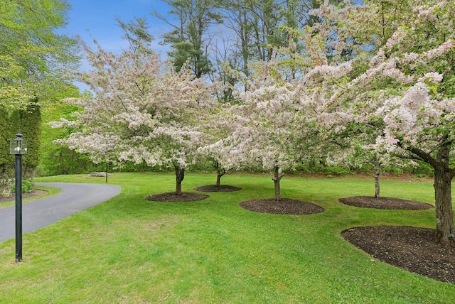 71 N St, Kennebunkport, ME 04046 - view of grassy yard