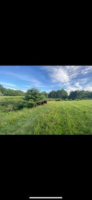 89 Marquis Rd, Freeport, ME 04032