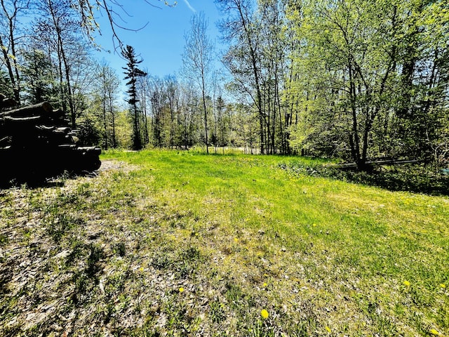 208 New Rd, Arundel, ME 04046 - view of yard