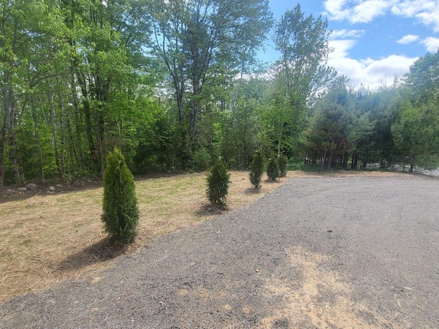 147 Keep Rd, Jay, ME 04239 - view of street featuring a forest view