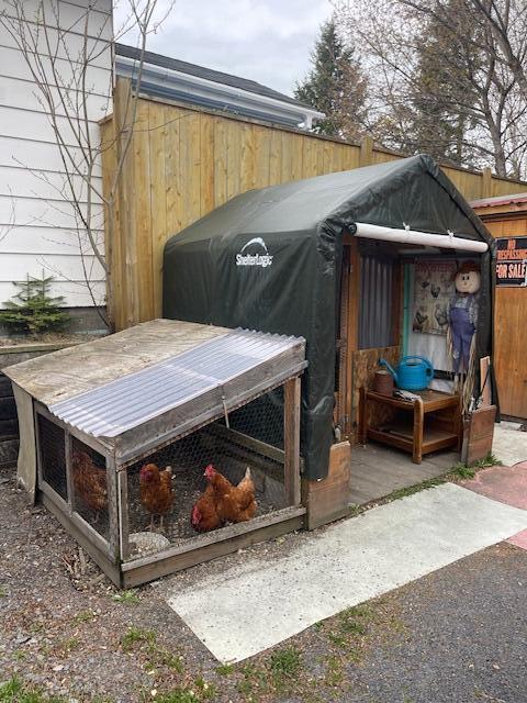 145 12th Ave, Madawaska, ME 04756 - view of poultry coop