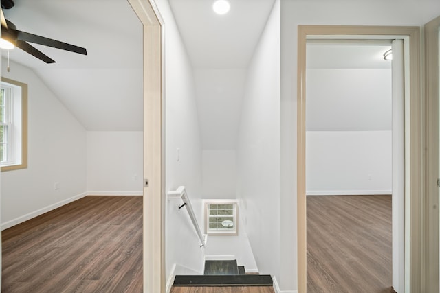 23 Bray Cir, Passadumkeag, ME 04475 - stairway with wood finished floors, ceiling fan, lofted ceiling, and baseboards