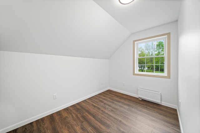 23 Bray Cir, Passadumkeag, ME 04475 - additional living space with radiator, baseboards, vaulted ceiling, and dark wood-style flooring