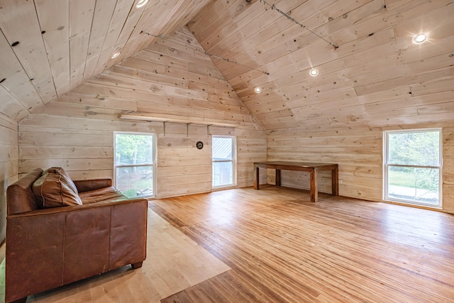 76 Old W Bethel Road, Albany Twp, ME 04217 - bonus room with vaulted ceiling, wooden ceiling, wooden walls, plenty of natural light, and light wood-style floors