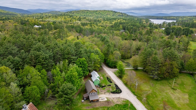 76 Old W Bethel Road, Albany Twp, ME 04217 - aerial view of property and surrounding area featuring a forest and a water and mountain view