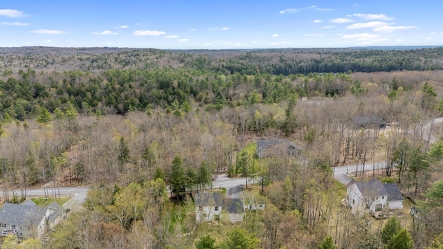 64 Autumn Rdg, Sabattus, ME 04280 - aerial view of property's location with a heavily wooded area
