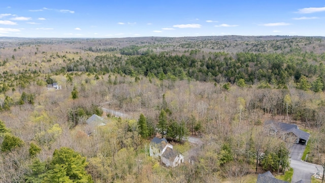 64 Autumn Rdg, Sabattus, ME 04280 - aerial overview of property's location with a heavily wooded area