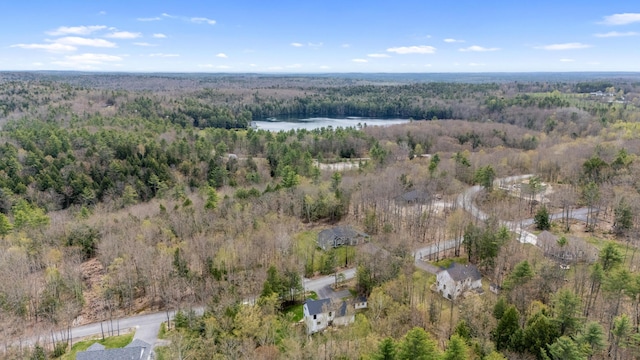 64 Autumn Rdg, Sabattus, ME 04280 - view of property location with a heavily wooded area and a nearby body of water
