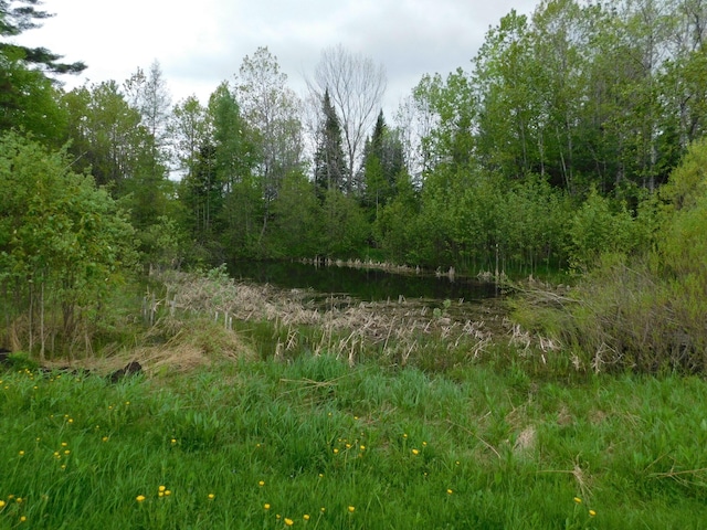 81 S Main St, Athens, ME 04912 - view of wooded area