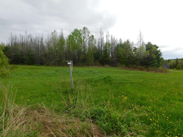 81 S Main St, Athens, ME 04912 - view of yard