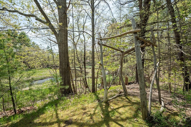 70 Cider Hill Rd, York, ME 03909 - view of tree filled area