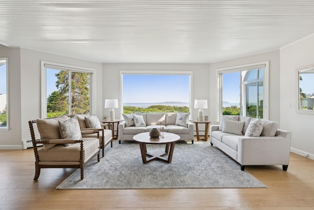25 Ocean Ave, Cape Elizabeth, ME 04107 - living room featuring light wood finished floors, a baseboard radiator, baseboards, and baseboard heating