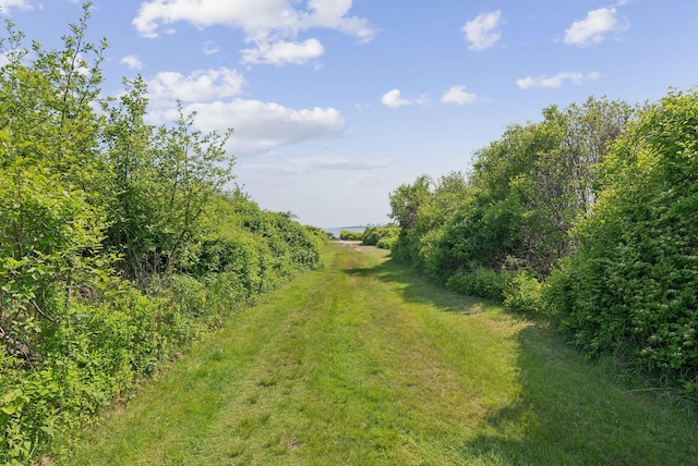 25 Ocean Ave, Cape Elizabeth, ME 04107 - view of yard