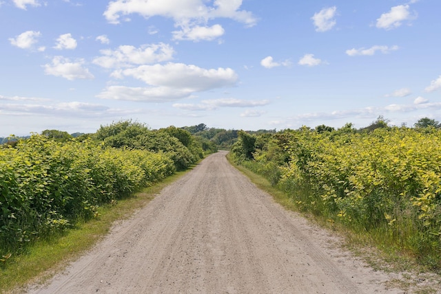 25 Ocean Ave, Cape Elizabeth, ME 04107 - view of dirt / gravel road
