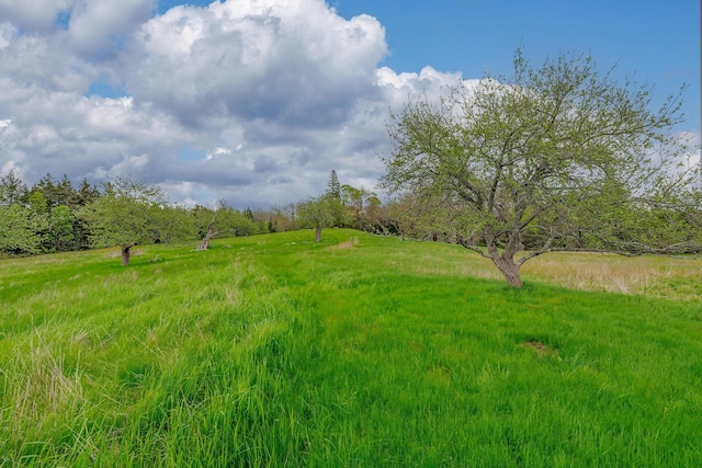 17 Barbour Farm Rd, Stonington, ME 04681 - photo 29