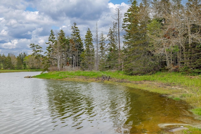 17 Barbour Farm Rd, Stonington, ME 04681 - photo 33