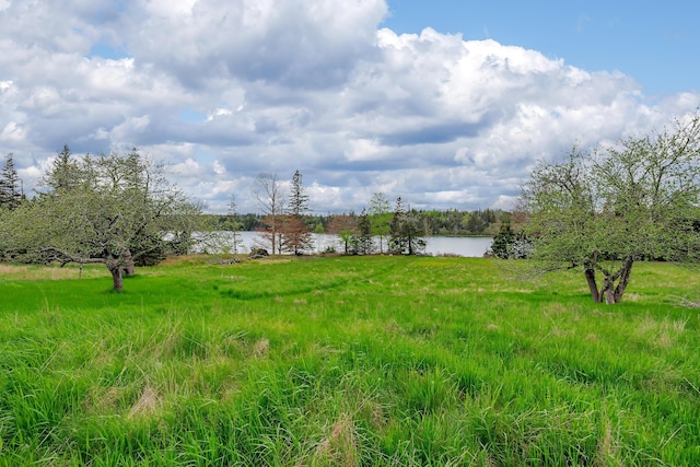 17 Barbour Farm Rd, Stonington, ME 04681 - photo 36