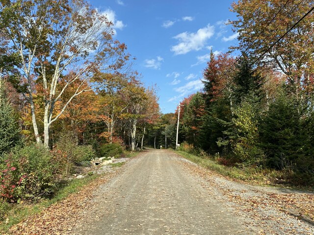 42 Old Mill Rd, Bristol, ME 04554 - view of dirt / gravel road with a view of trees