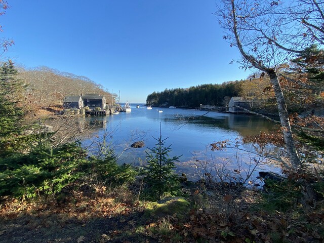 42 Old Mill Rd, Bristol, ME 04554 - water view featuring a forest