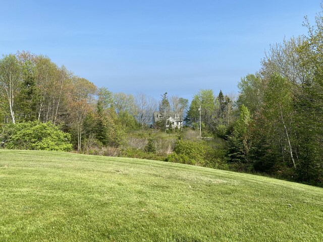 42 Old Mill Rd, Bristol, ME 04554 - view of grassy yard