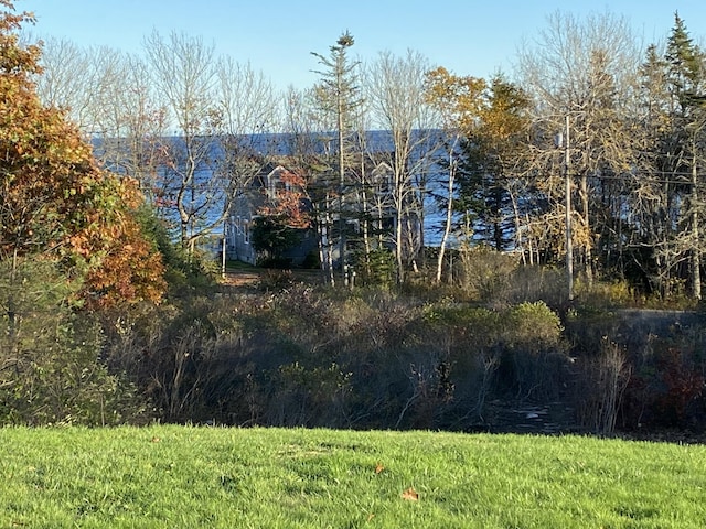 42 Old Mill Rd, Bristol, ME 04554 - view of yard