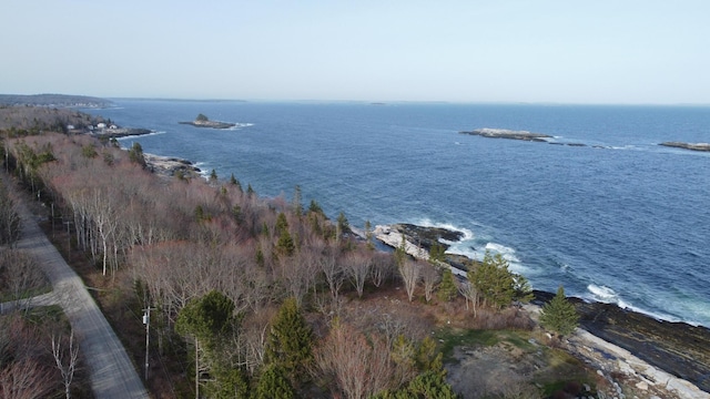 42 Old Mill Rd, Bristol, ME 04554 - water view