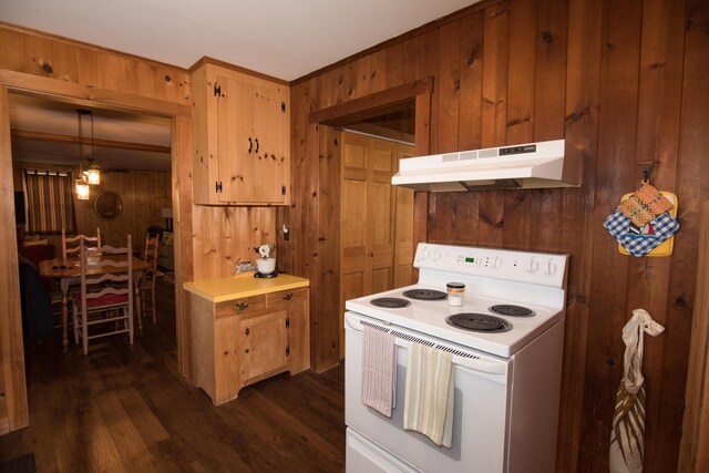 42 Old Mill Rd, Bristol, ME 04554 - kitchen with white range with electric stovetop, under cabinet range hood, wooden walls, dark wood finished floors, and light countertops