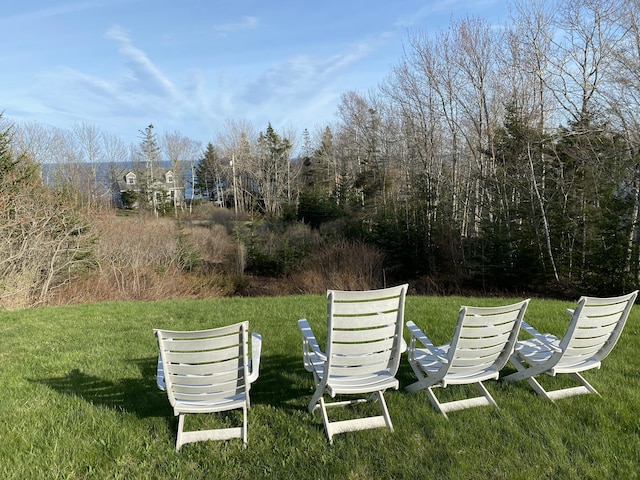 42 Old Mill Rd, Bristol, ME 04554 - view of grassy yard