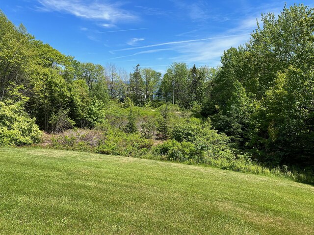 42 Old Mill Rd, Bristol, ME 04554 - view of green lawn