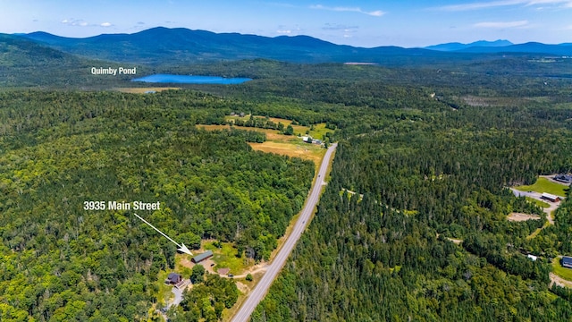 3935 Main St, Rangeley, ME 04970 - photo 54