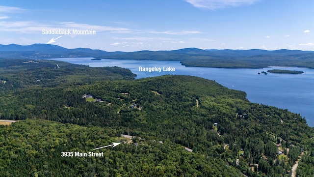 3935 Main St, Rangeley, ME 04970 - photo 1