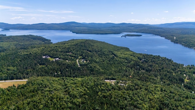 3935 Main St, Rangeley, ME 04970 - photo 55