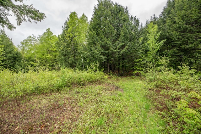 22 Partridge Ln, Medford, ME 04463 - view of tree filled area