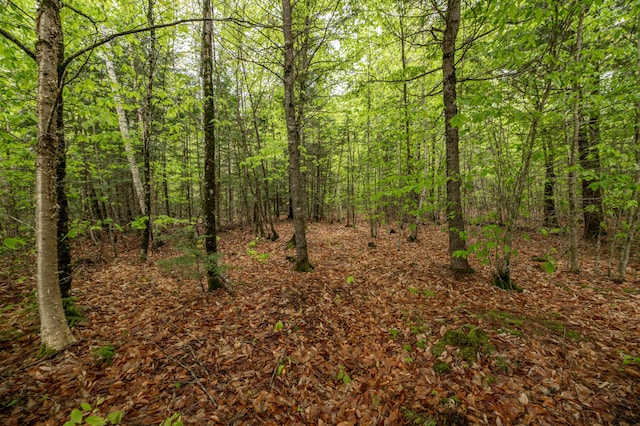 22 Partridge Ln, Medford, ME 04463 - view of wooded area