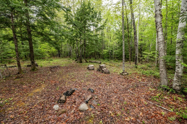 22 Partridge Ln, Medford, ME 04463 - view of tree filled area