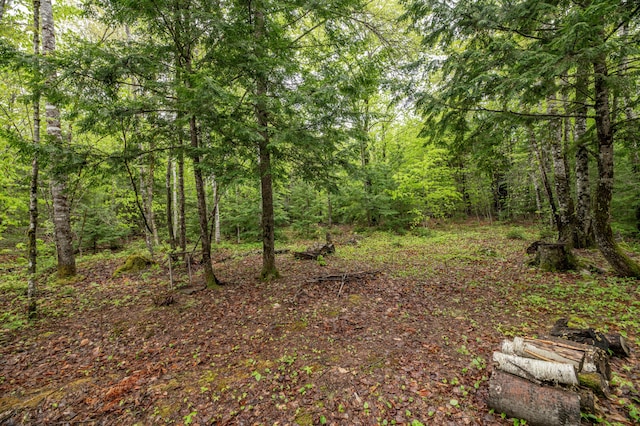 22 Partridge Ln, Medford, ME 04463 - view of tree filled area