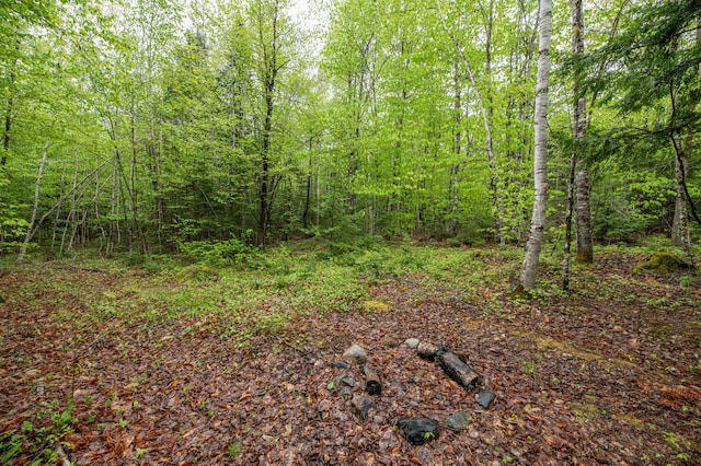 22 Partridge Ln, Medford, ME 04463 - view of tree filled area