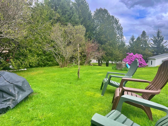 13 Pearl St, Fort Kent, ME 04743 - view of grassy yard