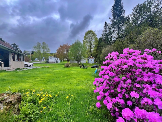 13 Pearl St, Fort Kent, ME 04743 - view of grassy yard