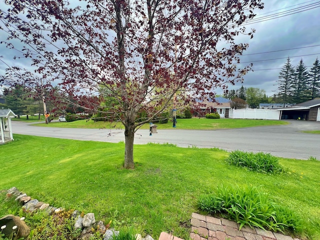 13 Pearl St, Fort Kent, ME 04743 - view of green lawn