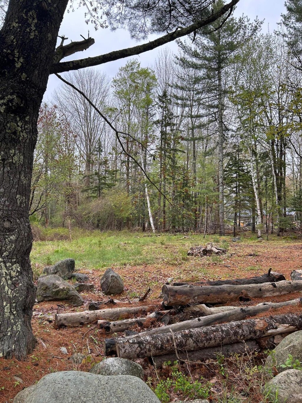 PARTM9L83 Ripples Rd, Mount Desert, ME 04660 - photo 2