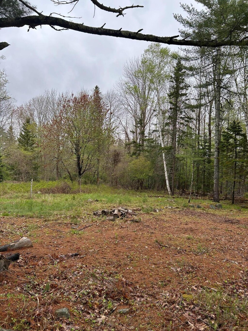 PARTM9L83 Ripples Rd, Mount Desert, ME 04660 - photo 3