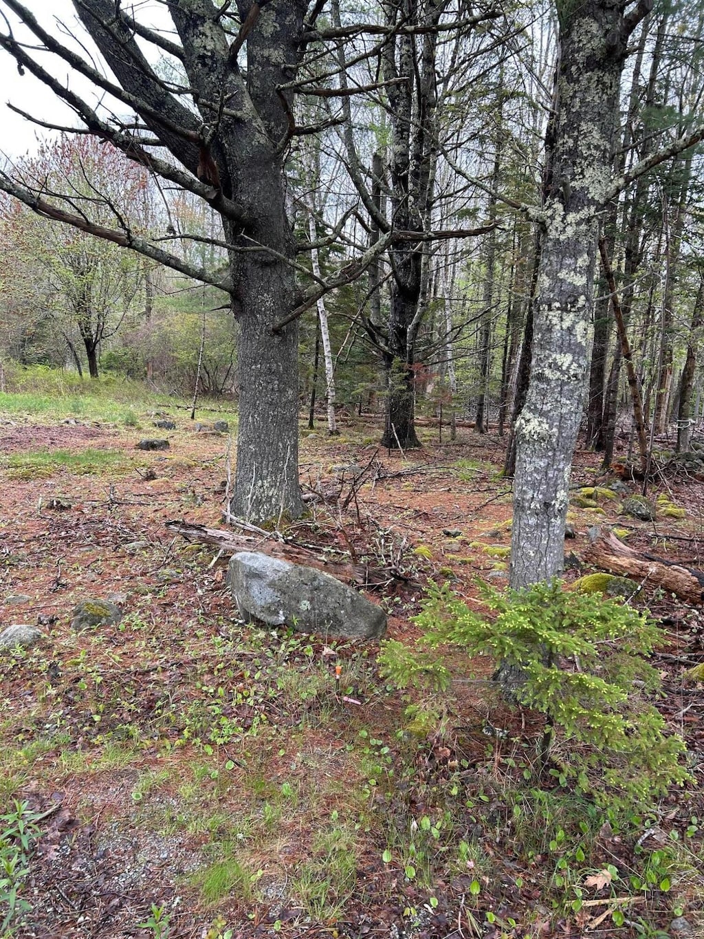PARTM9L83 Ripples Rd, Mount Desert, ME 04660 - photo 1