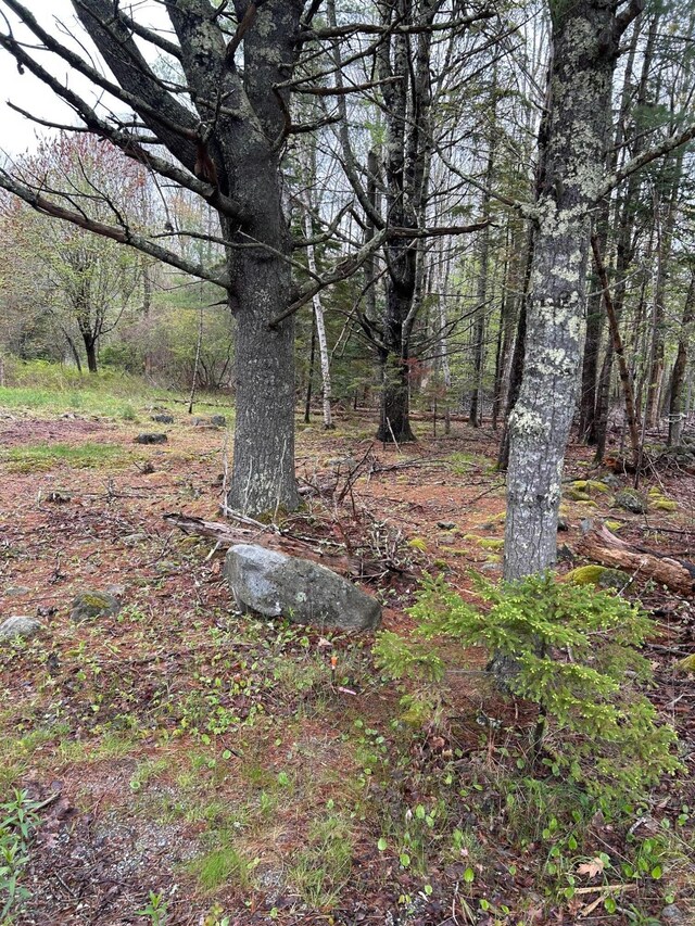 PARTM9L83 Ripples Rd, Mount Desert, ME 04660 - photo 1