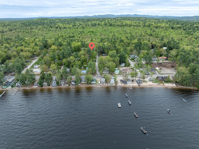 18 Julian St, Sebago, ME 04029 - view of property location featuring a forest and a large body of water
