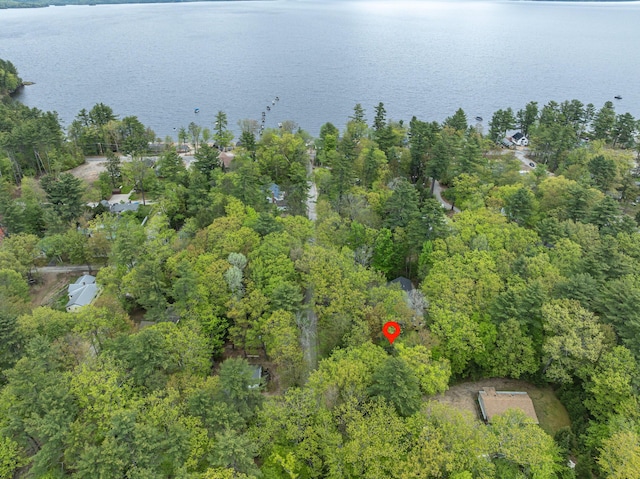18 Julian St, Sebago, ME 04029 - view of property location with a nearby body of water and a heavily wooded area